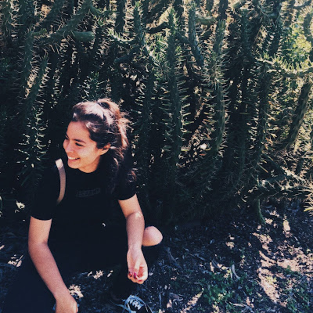 Meet your Posher, Dayana